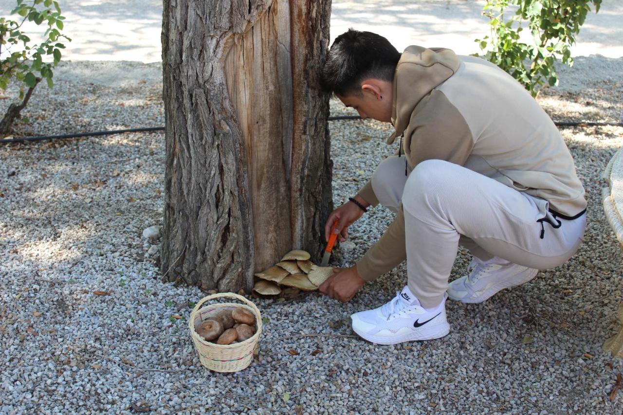 La Noguera Casa Rural Huéscar Εξωτερικό φωτογραφία