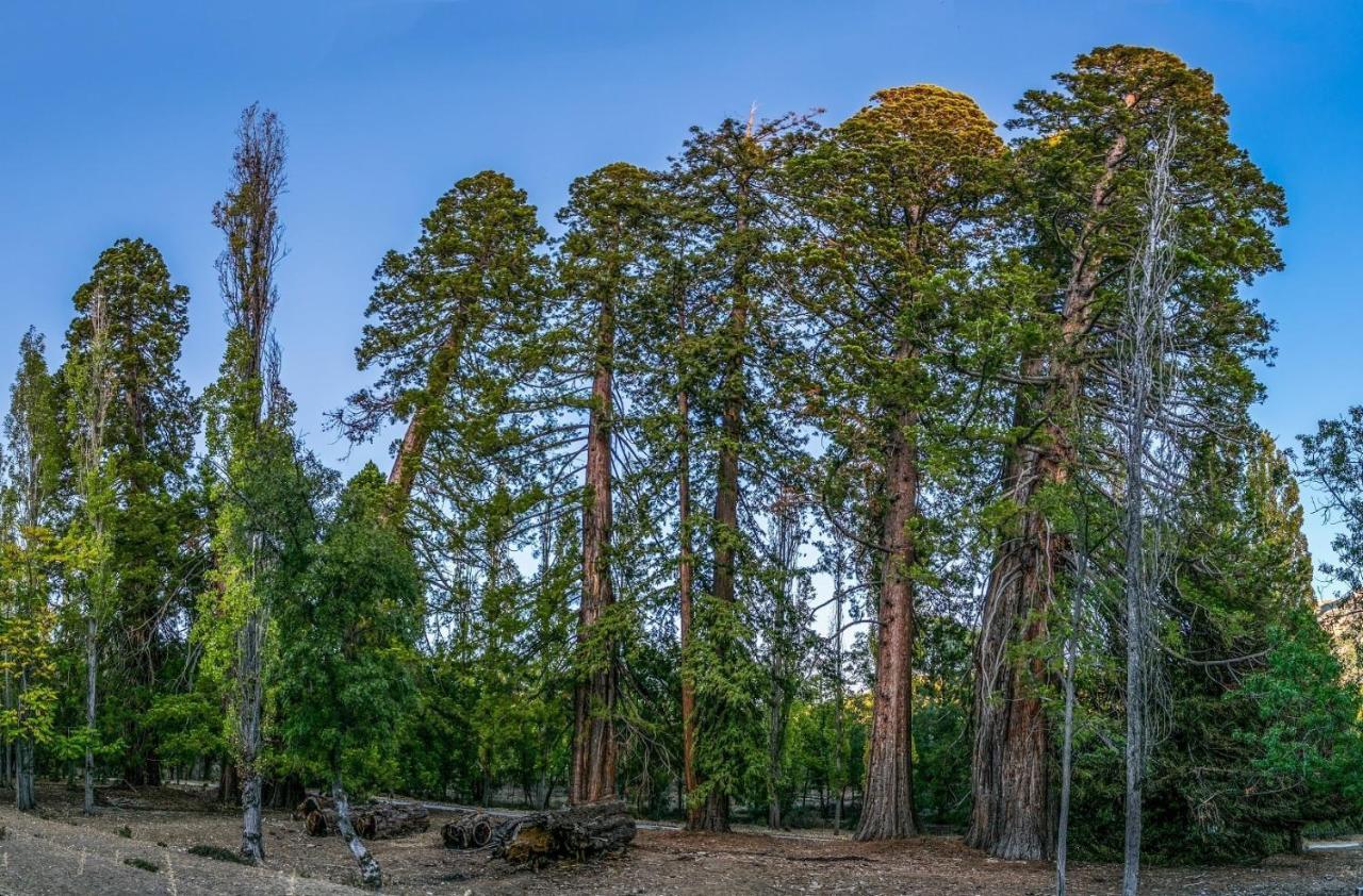 La Noguera Casa Rural Huéscar Εξωτερικό φωτογραφία